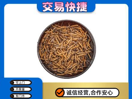 鄂尔多斯高价回收散虫草